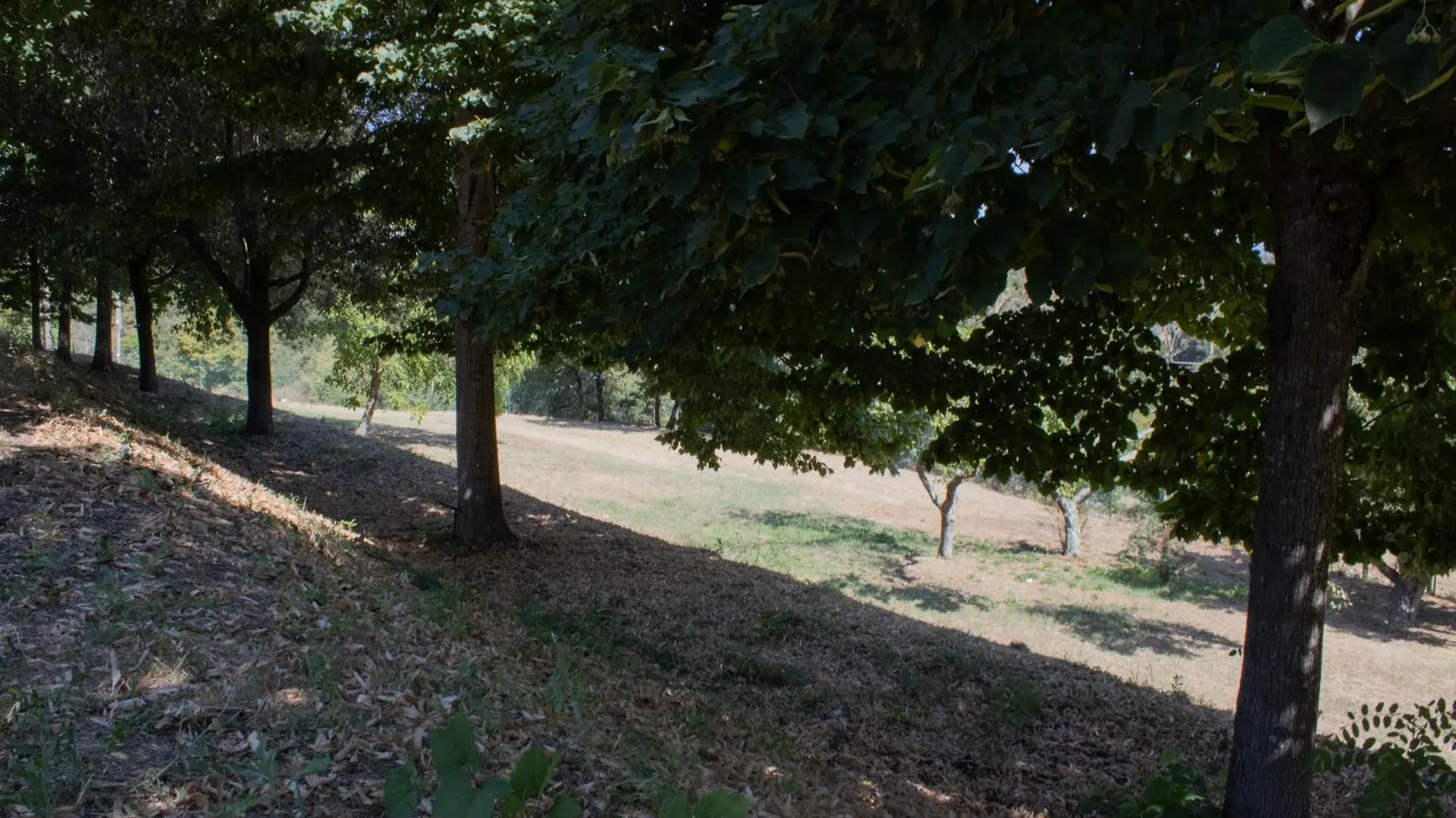 مزرعة للإقامة Podere Il Dolco - La Guazza Pieve a Maiano إيطاليا